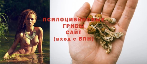 MESCALINE Арсеньев