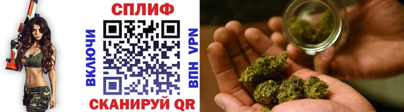 закладки  Первомайск  OMG вход  Шишки марихуана SATIVA & INDICA 